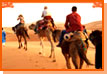 Desert Safari with Ganga Tour