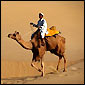 Desert Safari with Ganga Tours