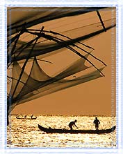 Cochin Fishing Net, Cochin Tours