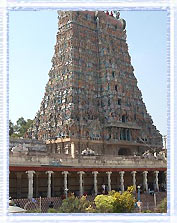 Padmanabhaswamy Temple,Chennai Tour & Travel Packages