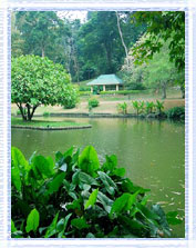 Colombo-Sigiriya : Srilanka Travels Packages