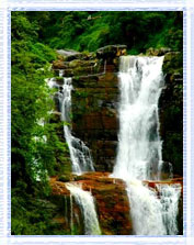 Water Falls  Nuwara Elya : Srilanka Tours and Travels